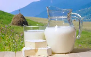 Капитал - Белоснежный переполох