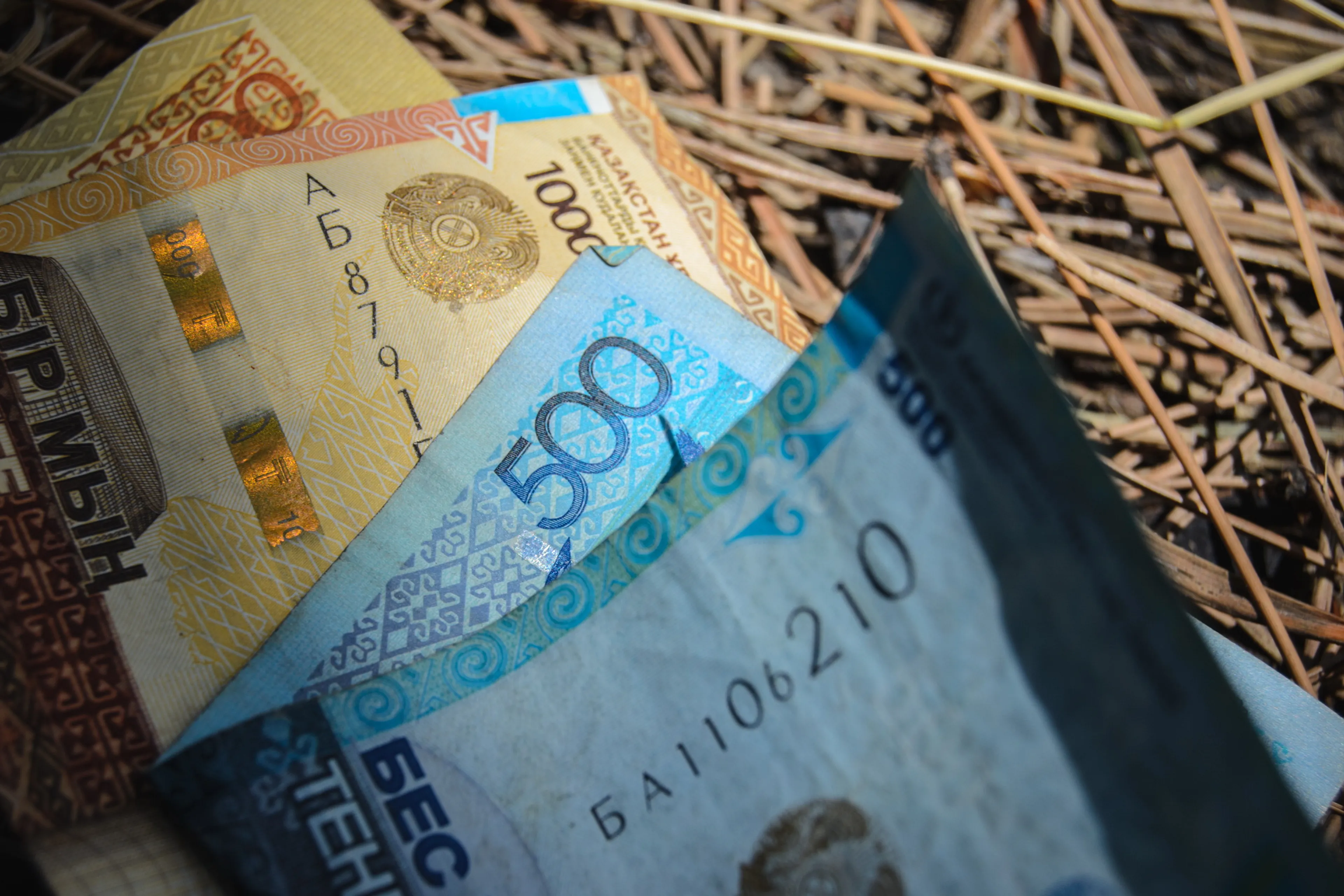 Фото: Валерия Змейкова