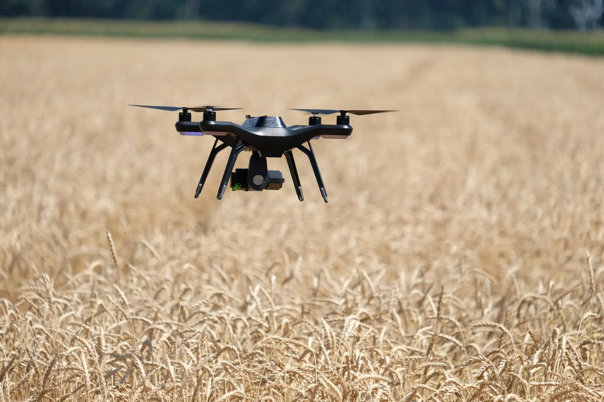 Фото: Владимир Третьяков