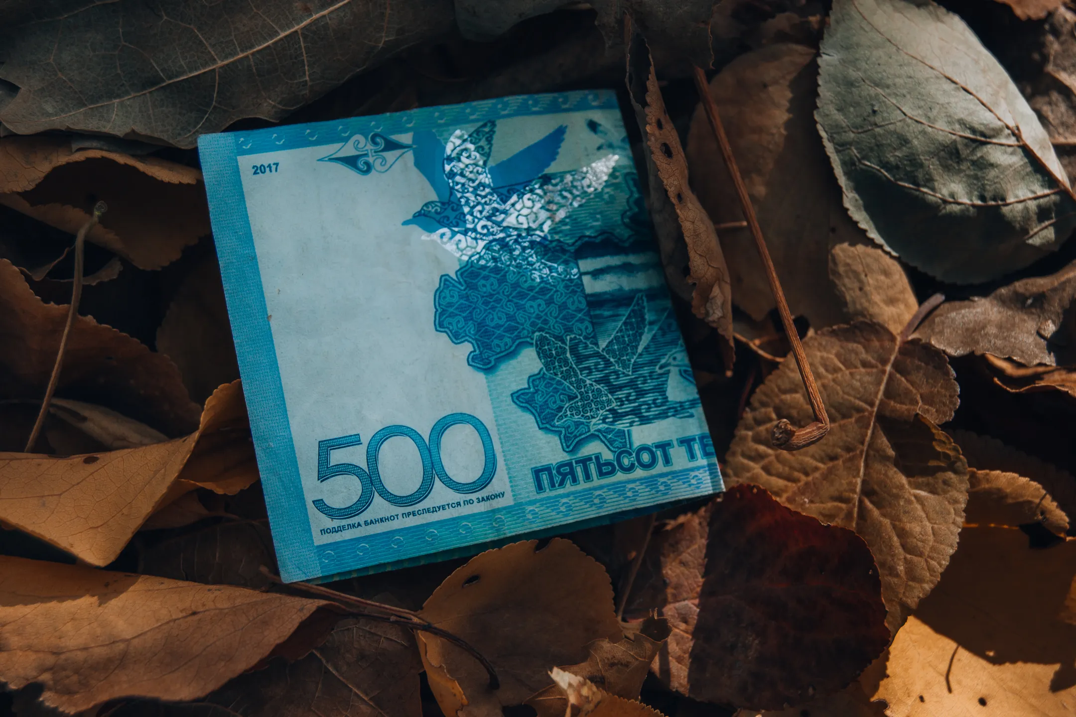 Фото: Валерия Змейкова