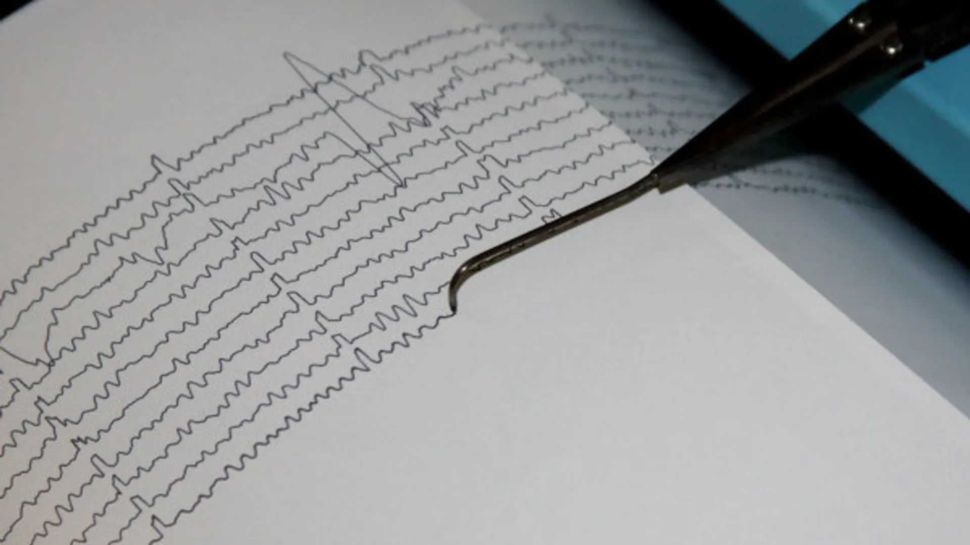 Капитал - Сейсмологи дали прогноз по землетрясениям