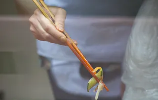 Капитал - Не надо пропаганды, рынок все отрегулирует