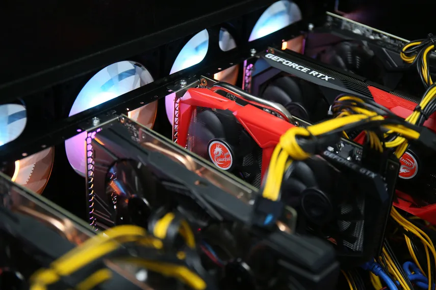 Фото: Руслан Пряников