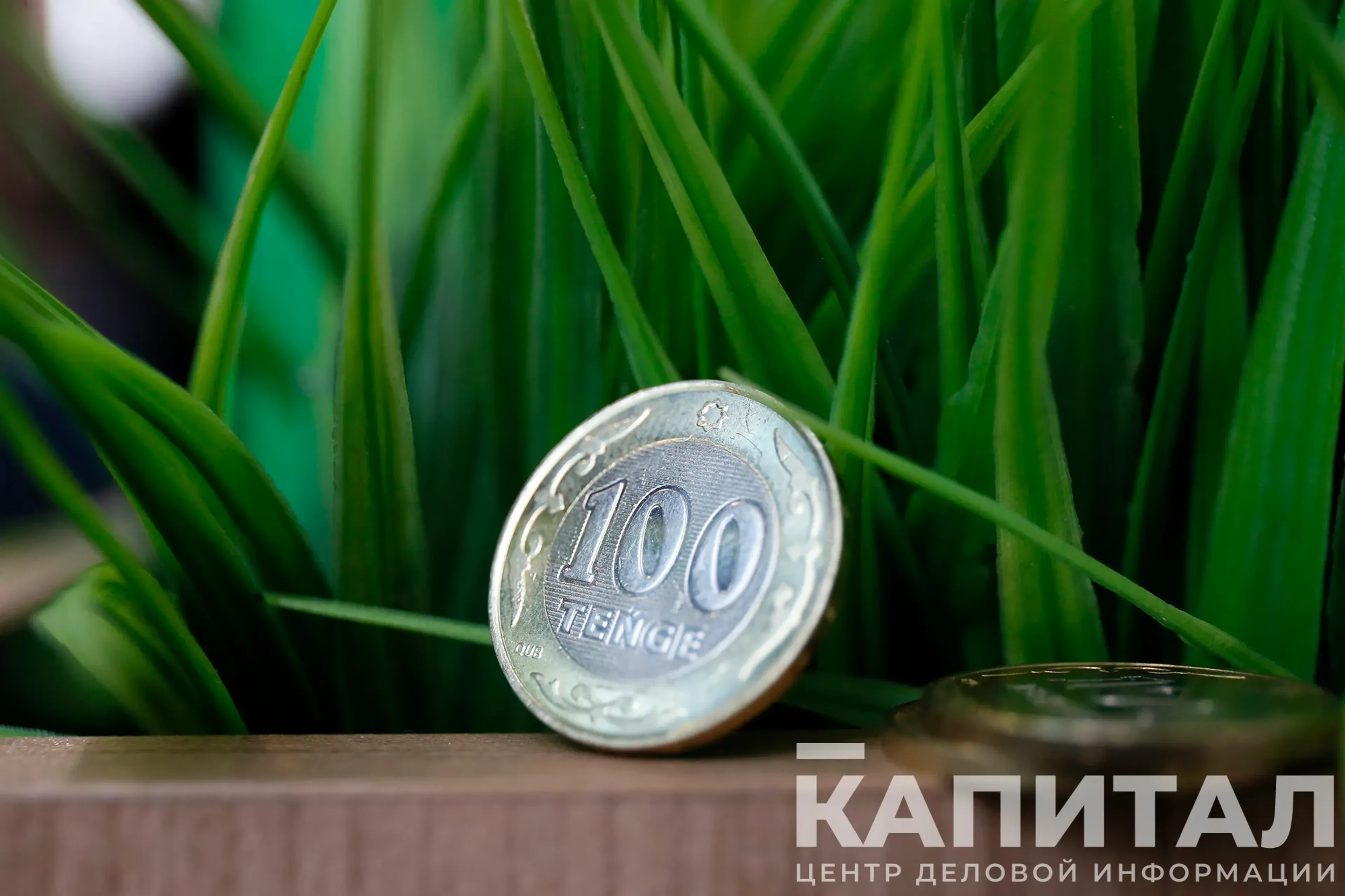 Фото: Руслан Пряников