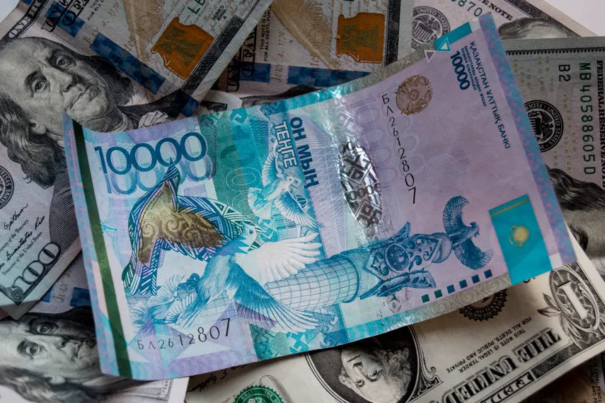 Фото: Валерия Змейкова 