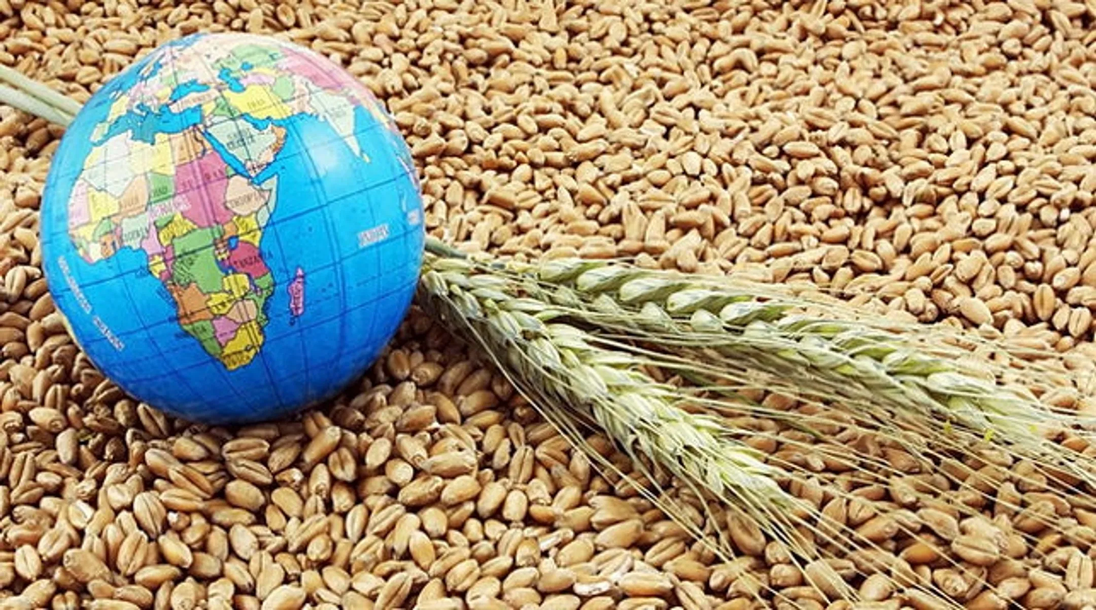 Изображение Kapital.kz