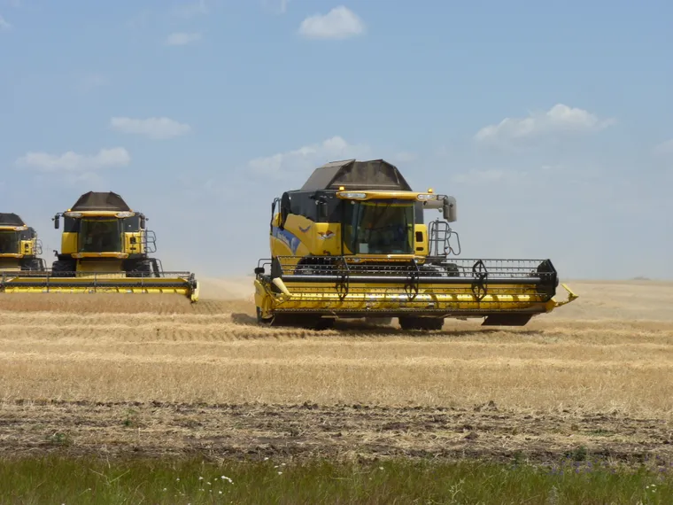 Капитал - Фермеры недовольны правилами субсидирования