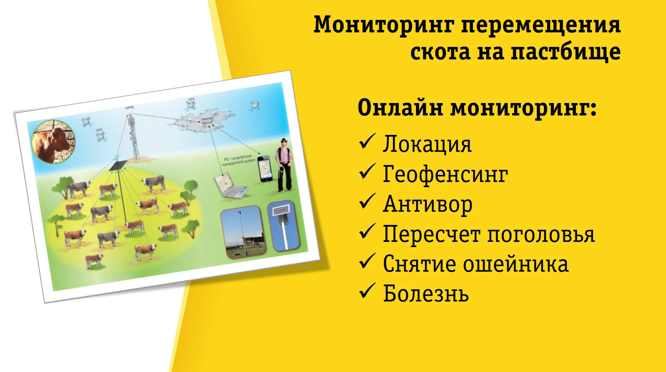 Какие преимущества получают компании от digital-трансформации - Image Kapital.kz