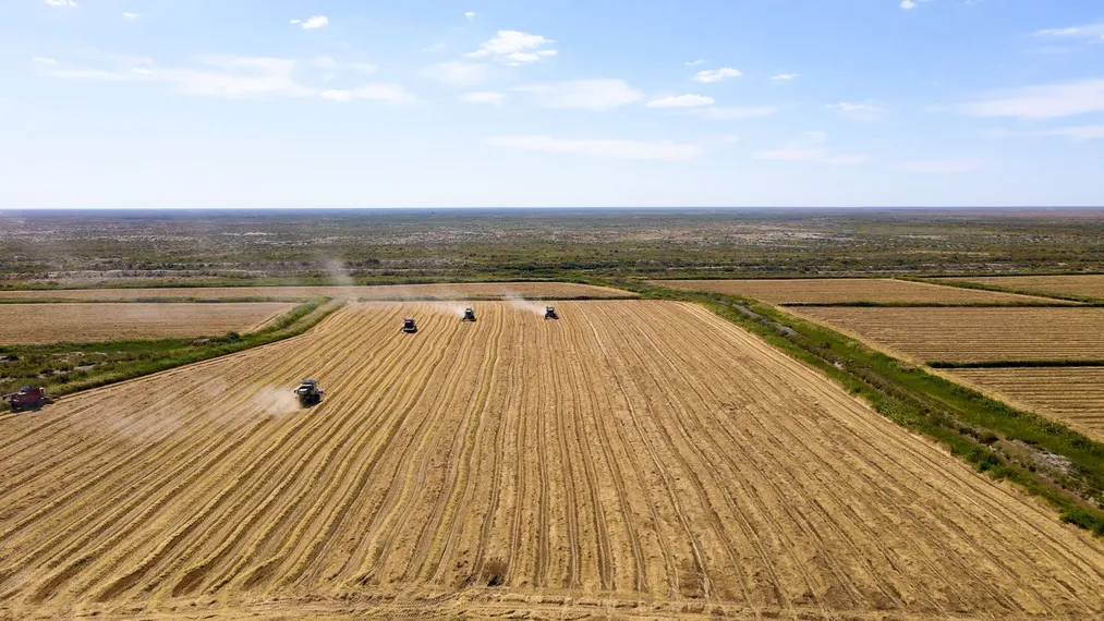 Капитал - Эффективная поддержка фермеров в Кызылординской области