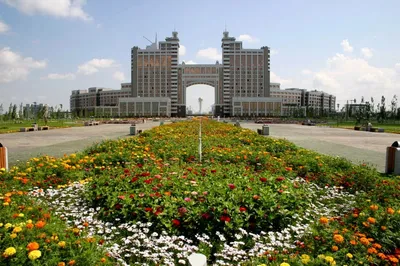 В Астане появится концепция озеленения объектов