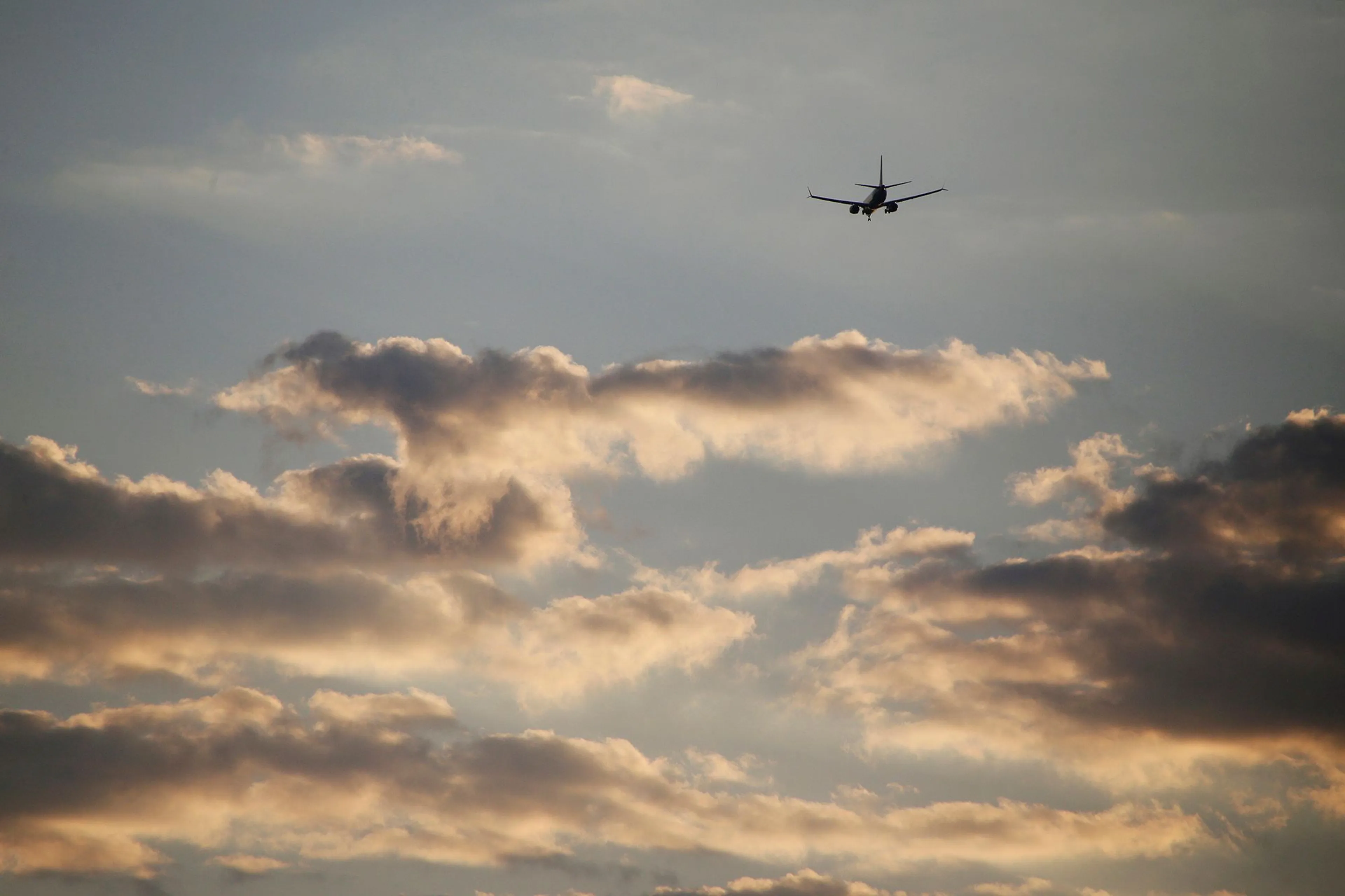 Фото: Руслан Пряников