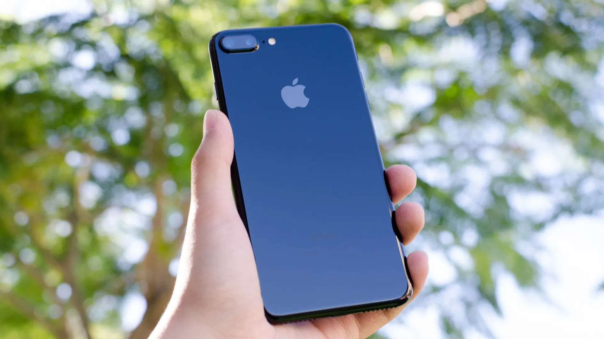 Капитал - IPhone 7 стал самой популярной моделью смартфонов в мире