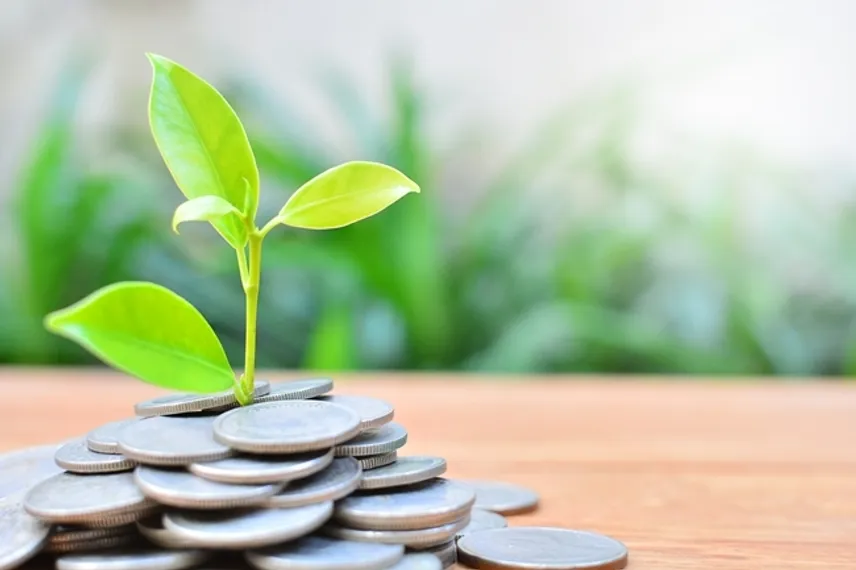 Капитал - Первые зеленые облигации могут выпустить в Казахстане до конца года