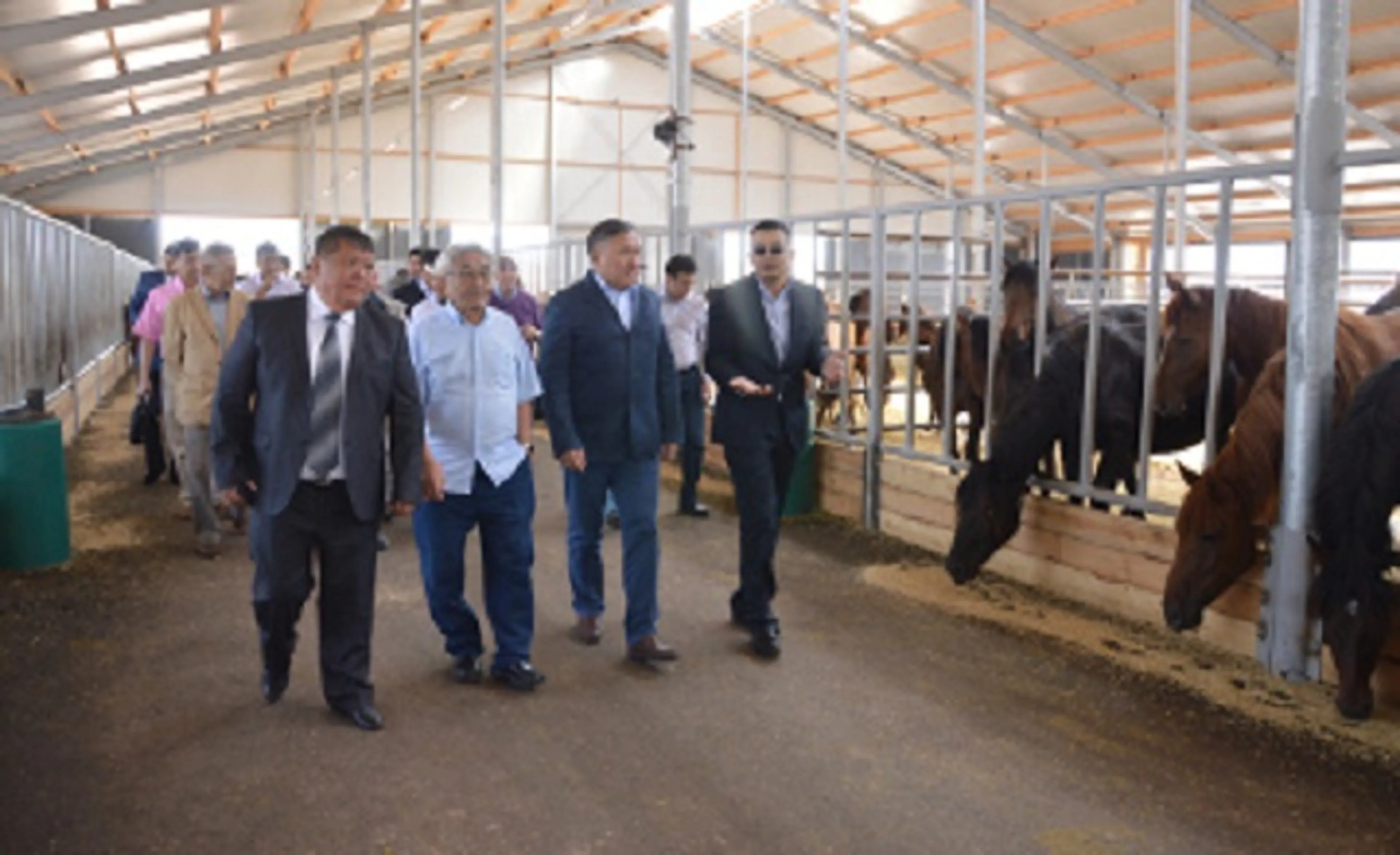 Капитал - В РК запустили производство сухого порошка из кобыльего молока