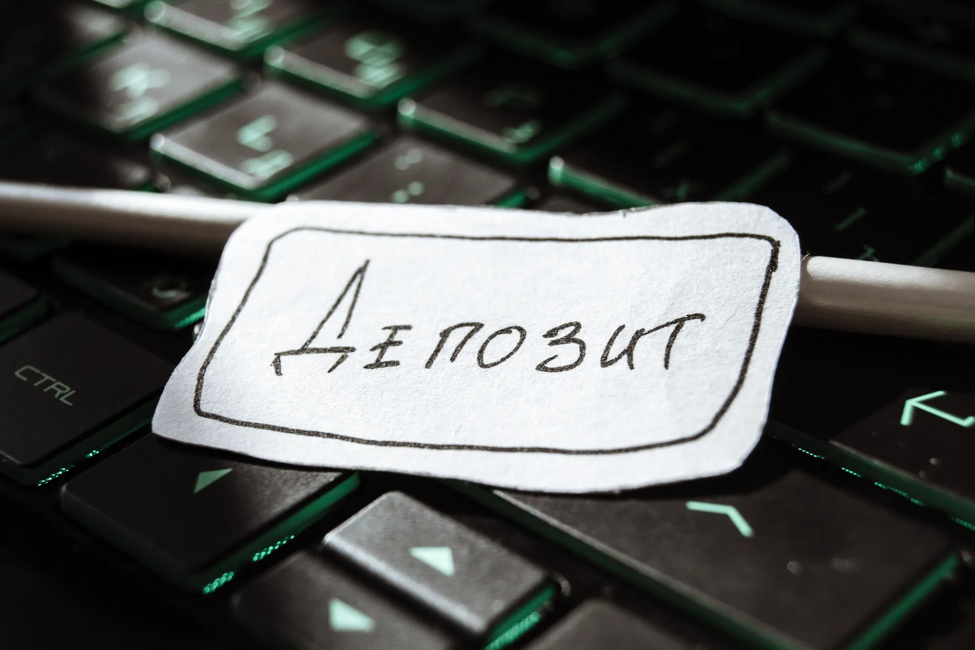 Фото: Валерия Змейкова