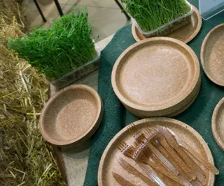 Капитал - Заработать на съедобном