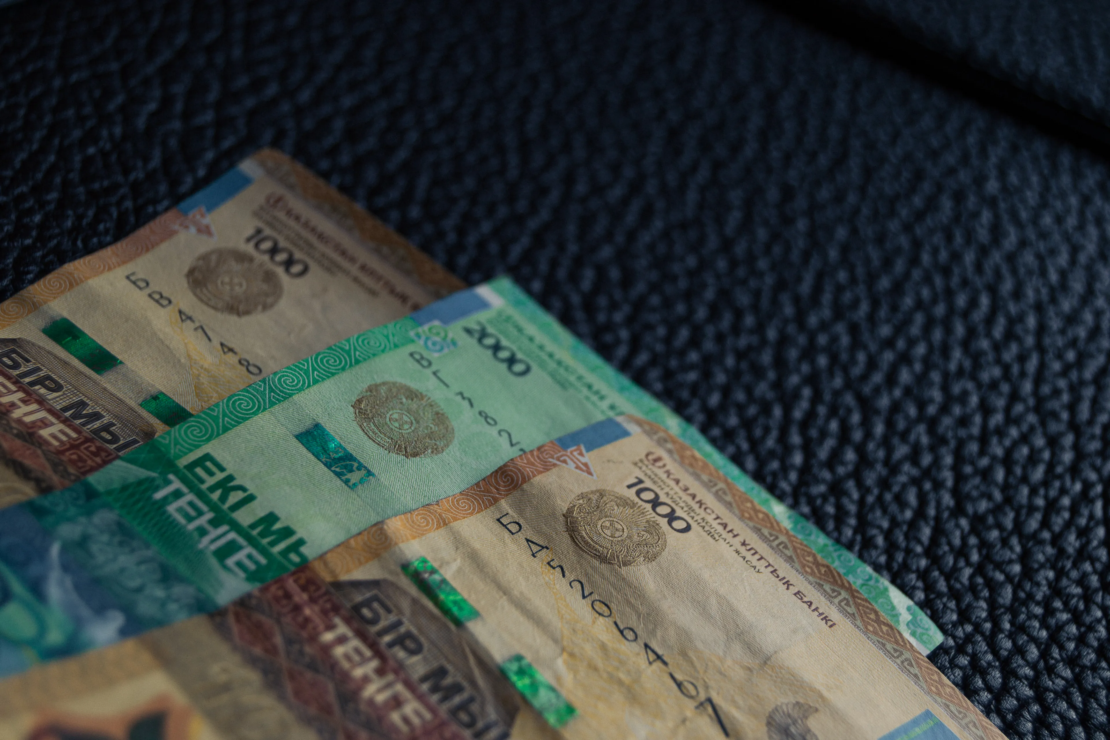 Фото: Валерия Змейкова