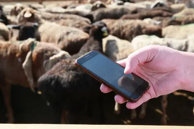 Фото: Руслан Пряников