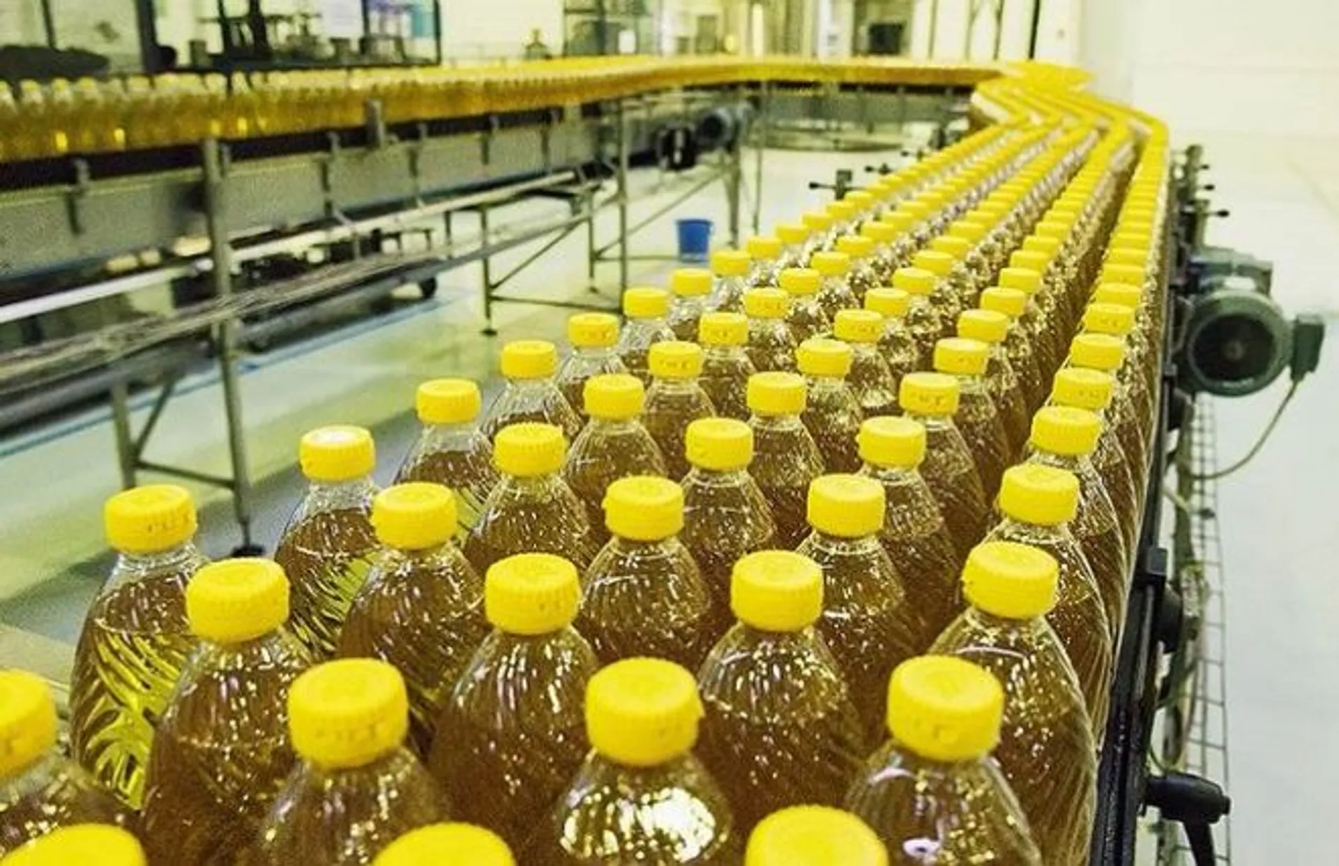 Капитал - Казахстан будет экспортировать подсолнечное масло в Китай