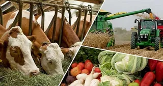 Капитал - ЮКО лидирует в республике по созданию кооперативов