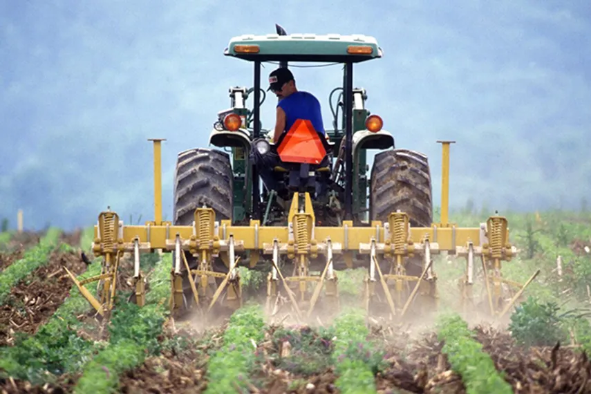 Капитал - Казахстанские фермеры недополучают субсидии