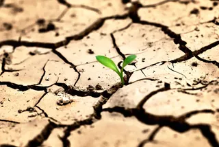 Капитал - Через 40 лет Казахстан столкнется с дефицитом воды