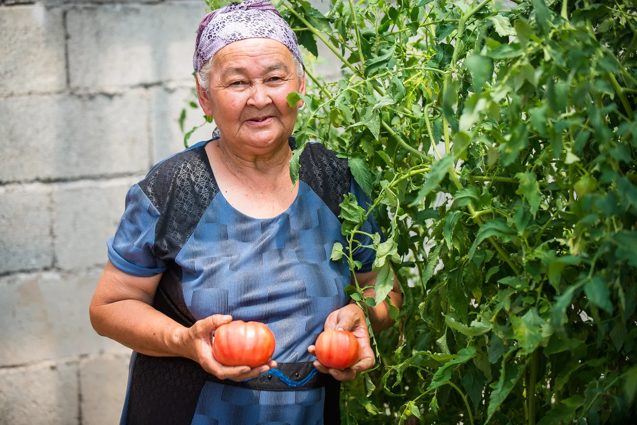 Инвестиции в микрофинансирование: опыт и перспективы - фото kapital.kz