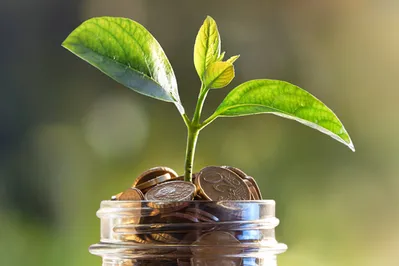 Банки и «квазигосы»: тесное соперничество