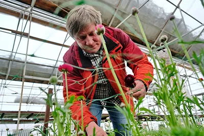 О садовнике Дмитрии Парфенове и его миллионном заработке