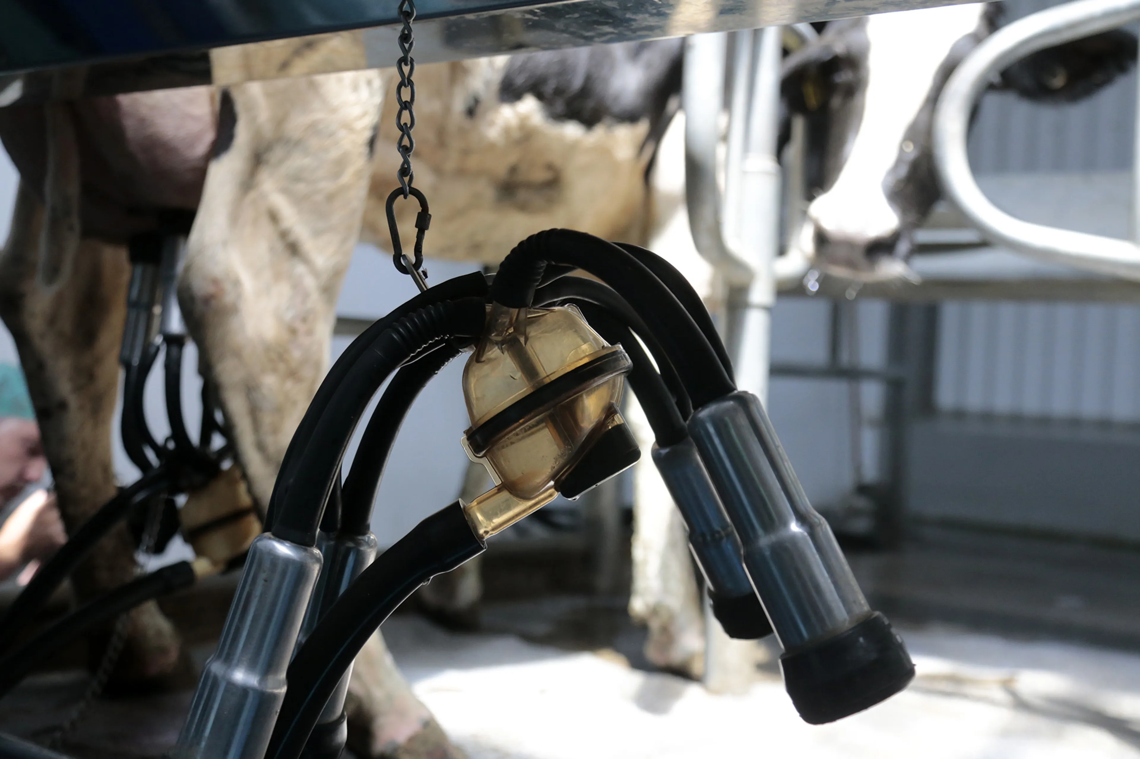 Фото: Руслан Пряников