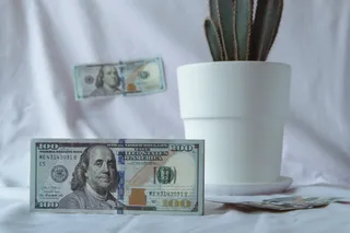 Фото: Валерия Змейкова