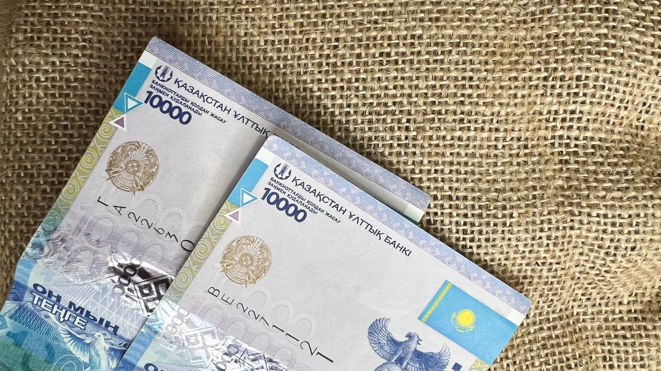 Фото: Валерия Змейкова