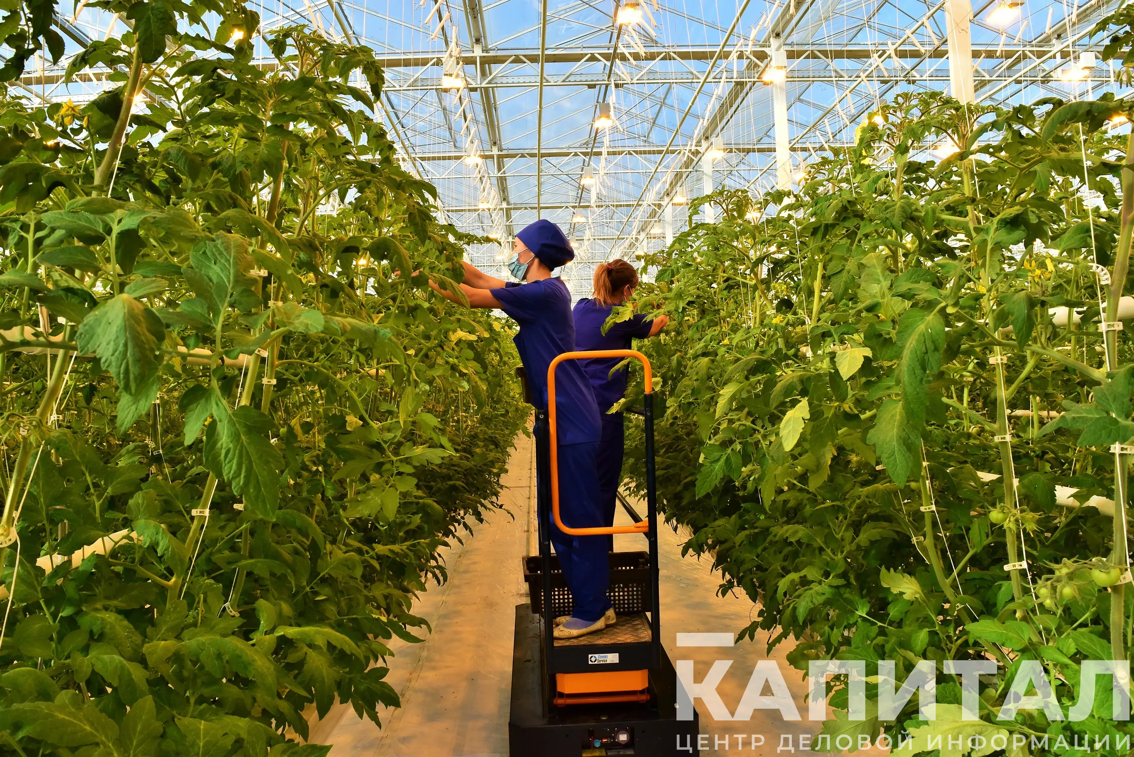 Капитал - Капвложения в сфере АПК достигли 981 млрд тенге