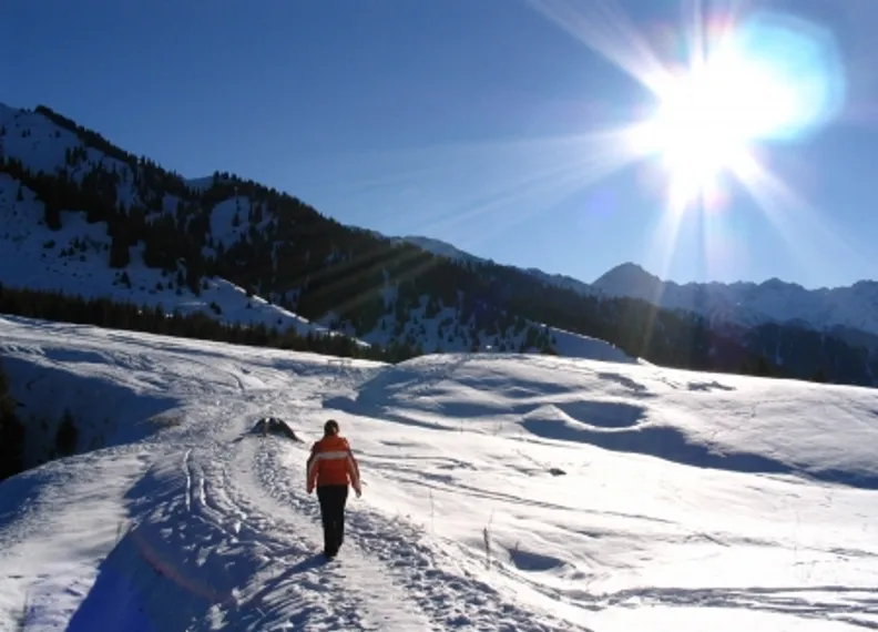 Капитал - Против проекта «Кок-Жайляу» собрали 4,5 тыс. подписей