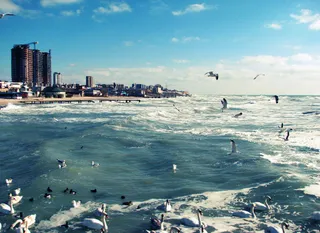 Капитал - Назарбаеву рассказали о реализации проекта в порту Актау