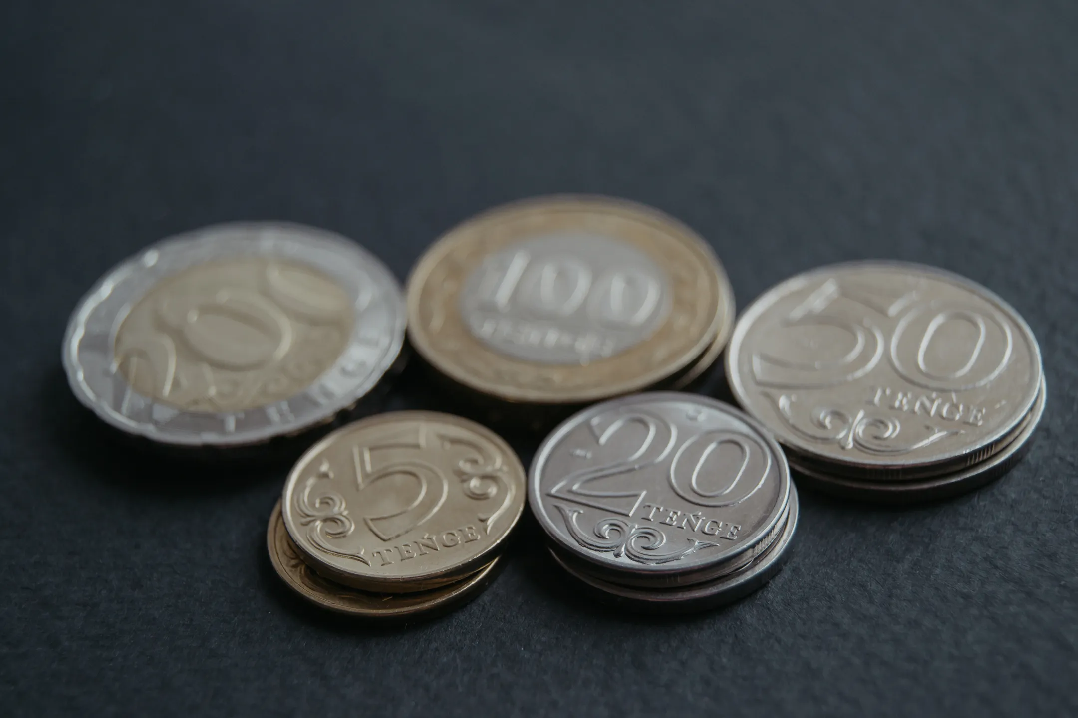 Фото: Валерия Змейкова