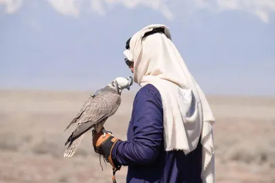 Фото: сайт Комитета лесного хозяйства и животного мира 