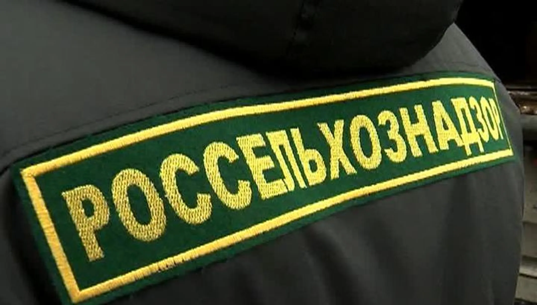Изображение Kapital.kz