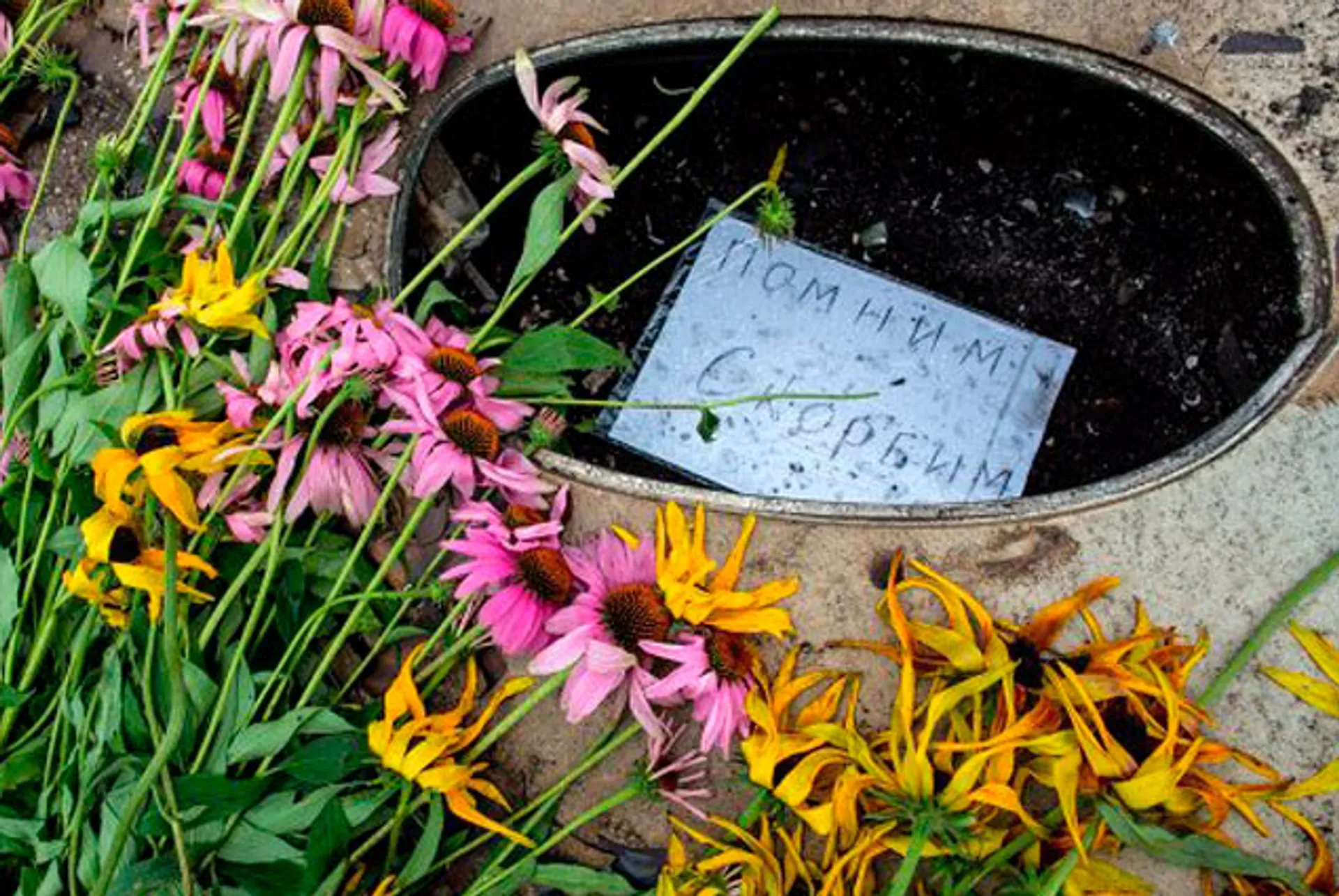 Капитал - Расследовать крушение Boeing будут Нидерланды