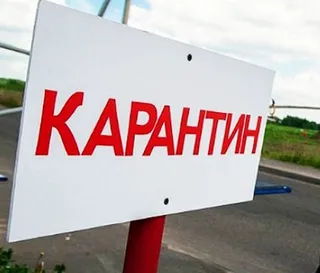 Капитал - Карантин по сибирской язве в Акмолинской области снят