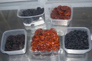 Капитал - В Шымкенте разработали инновационную технологию получения сухофруктов