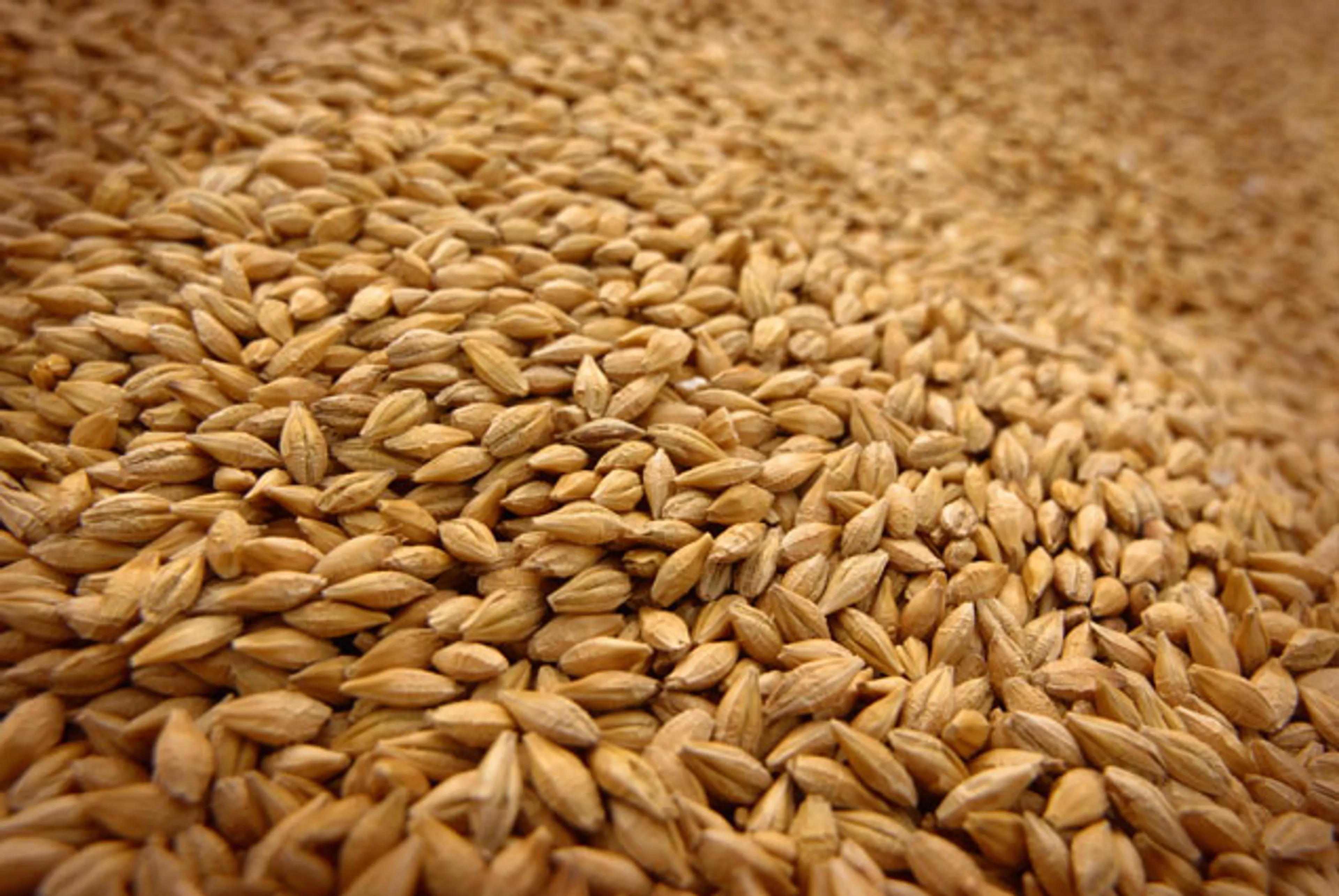 Капитал - Продкорпорация поможет регионам