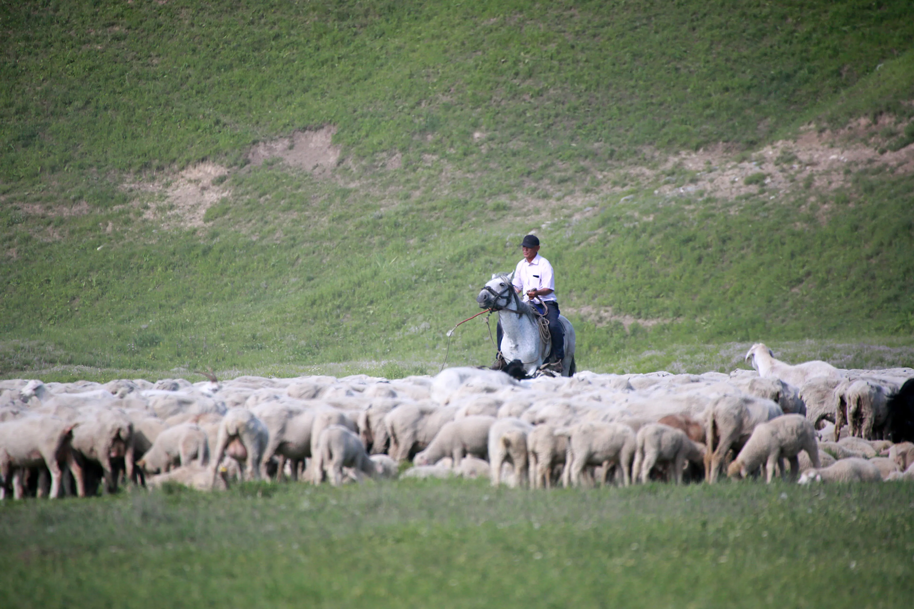 Фото: Руслан Пряников