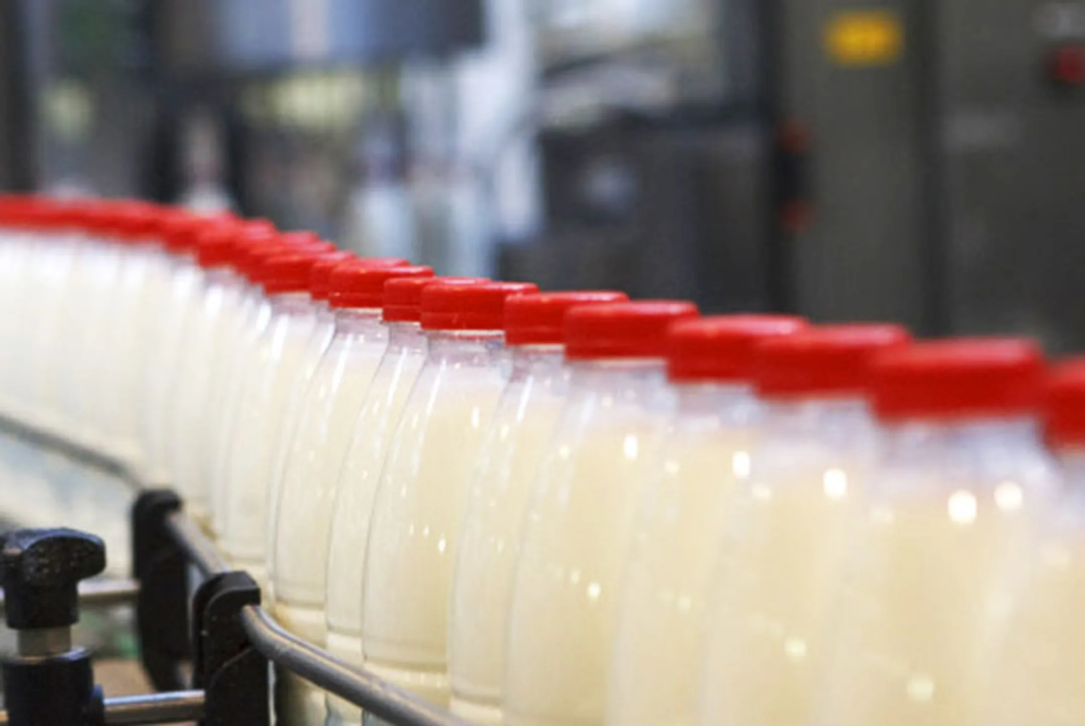 В агробизнесе нужно усилить контроль над безопасностью продуктов - Image Kapital.kz