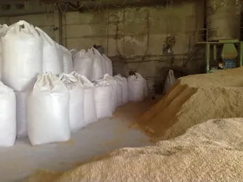 В Кызылординской области запустят завод по переработке риса