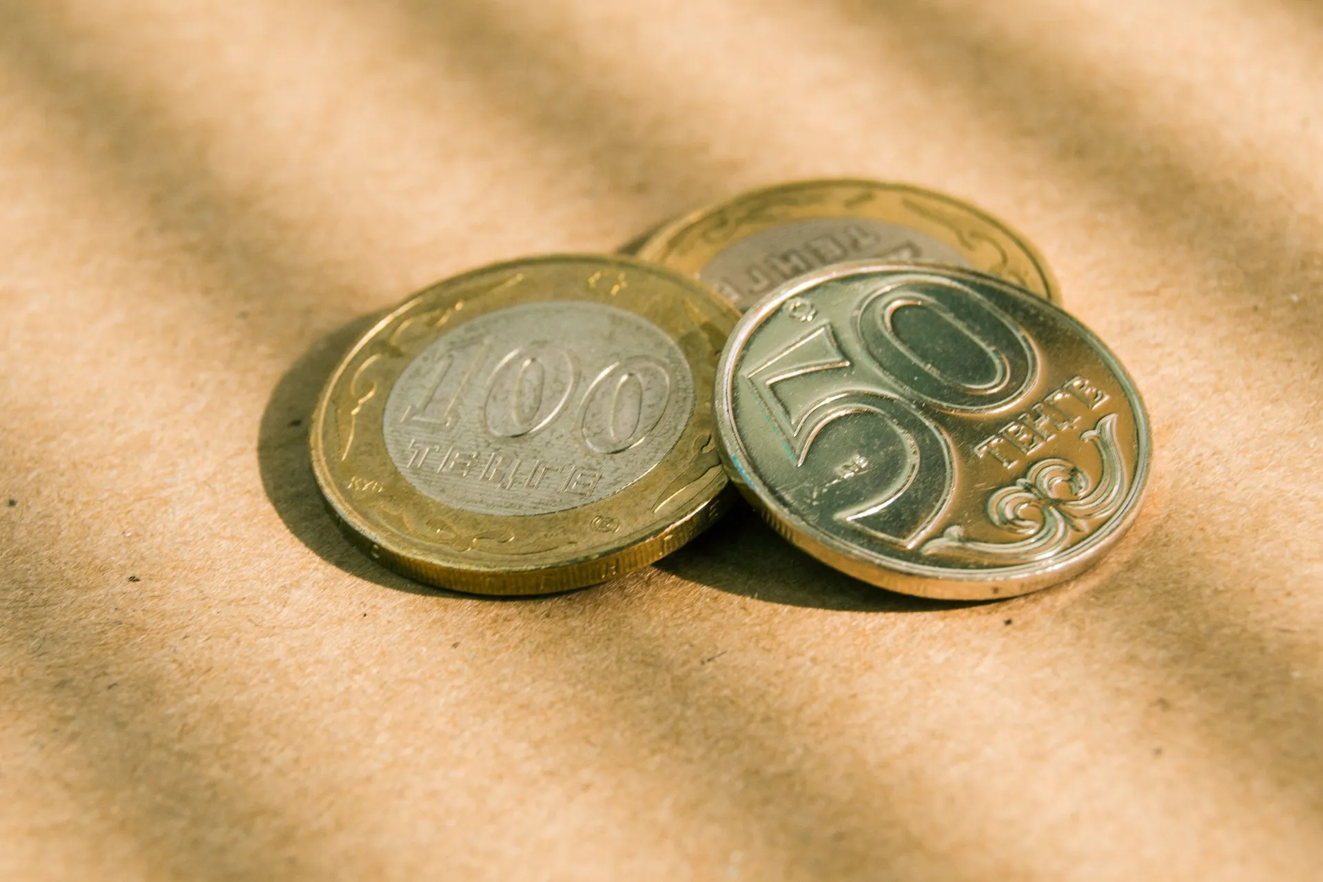 Фото: Валерия Змейкова