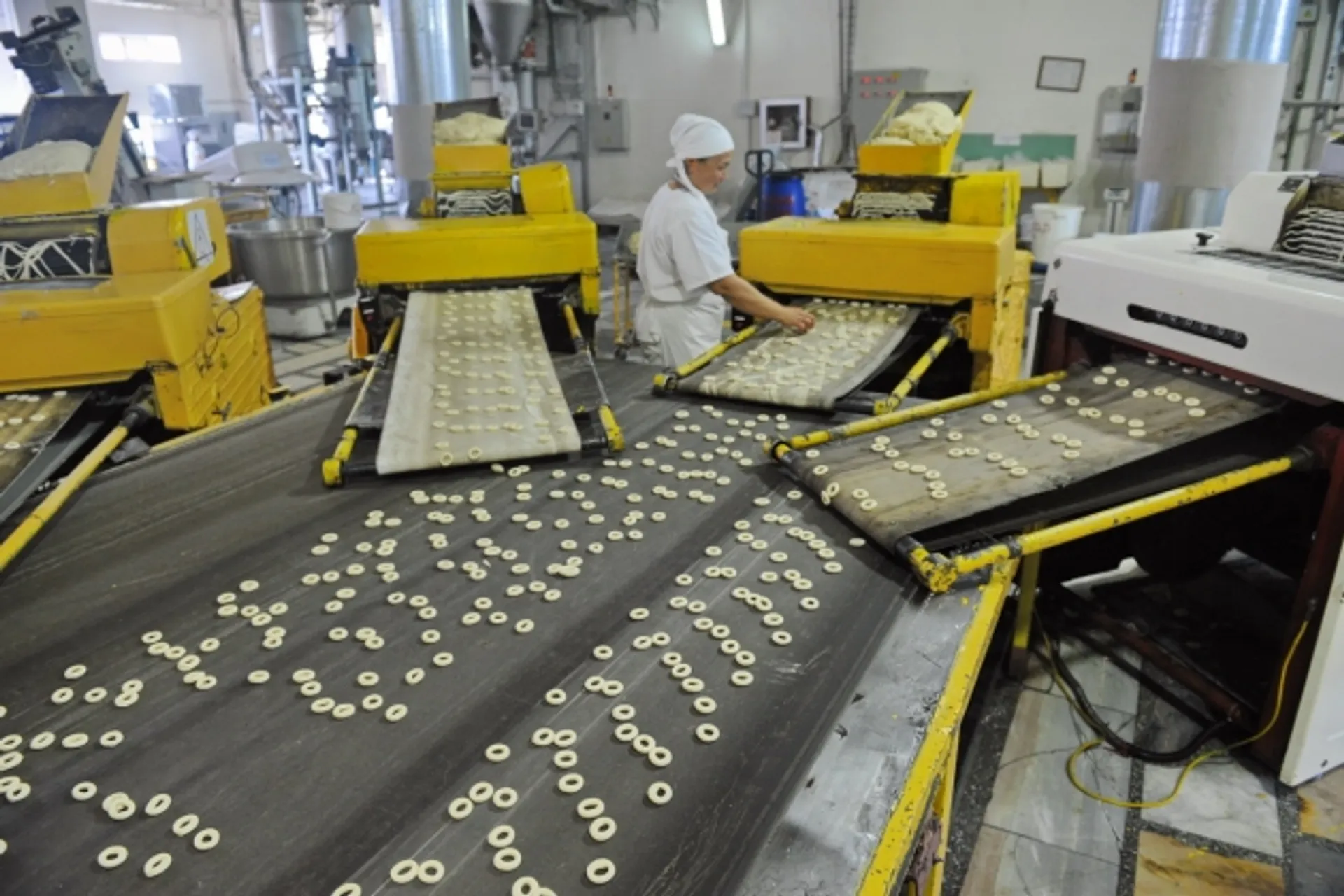 Капитал - Производители продуктов активизировали импортозамещение