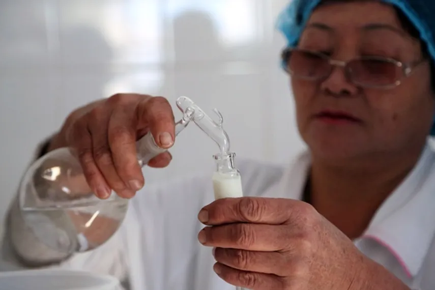 Капитал - Дефицит молока сохраняется в Казахстане