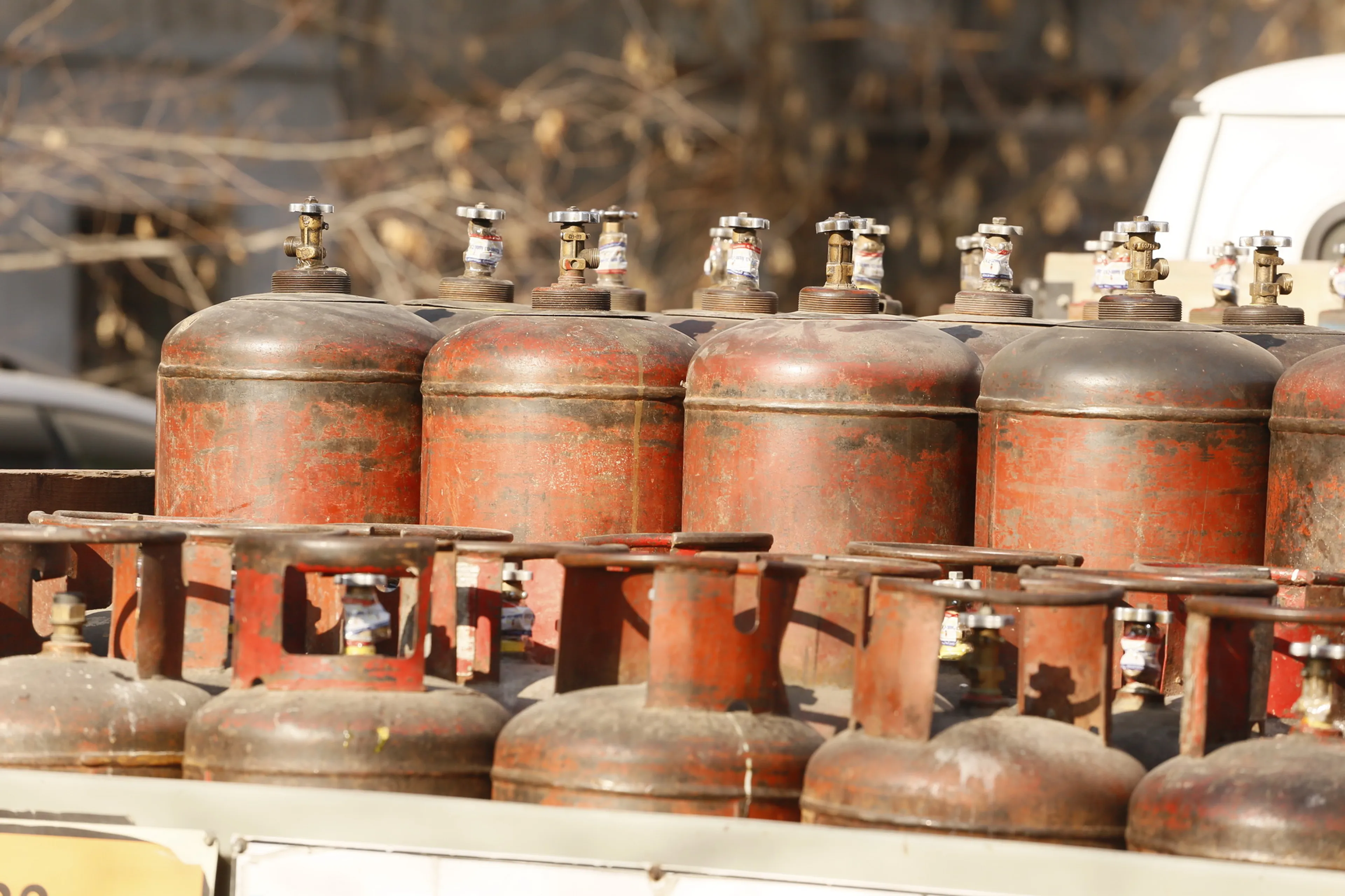 Фото: Руслан Пряников