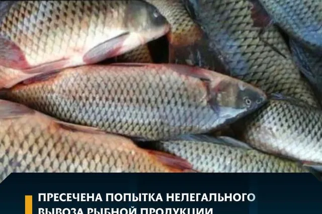 Министерство сельского хозяйства РК 